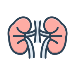 Nephrology