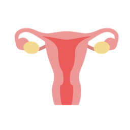 Gynaecology & Obstetrics